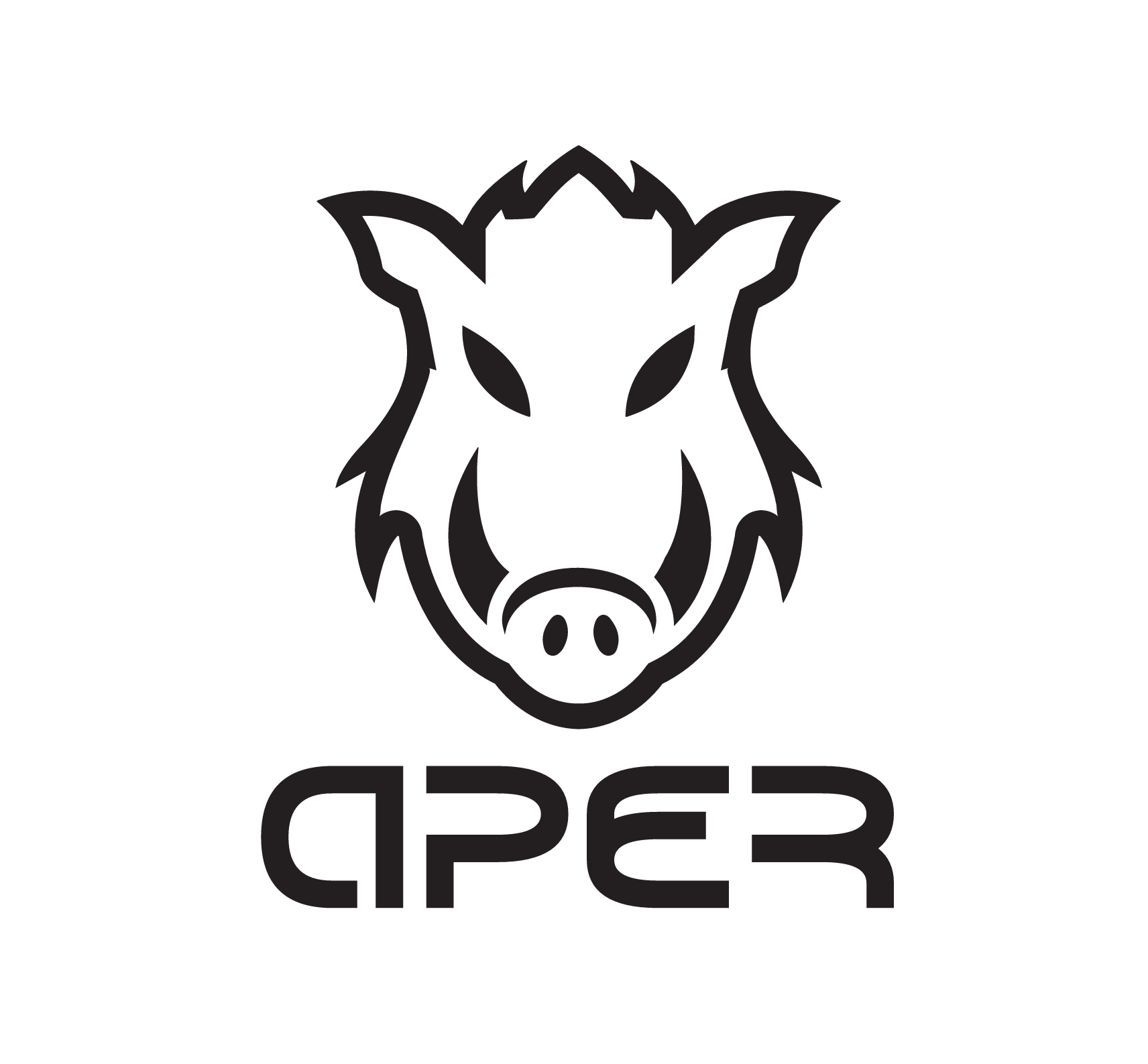 Α38. APER Bikes (Λάμπρου Νικόλαος και ΣΙΑ ΙΚΕ)